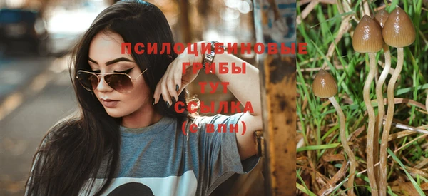 марки nbome Алзамай