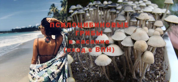 спиды Алексин